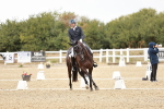 SBM_006783