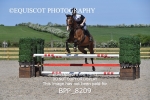 BPP_8209