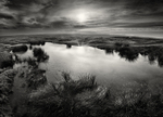 Baildon Moor Summat