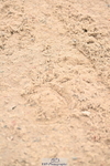 240501A-150416-01209