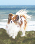 PP39 Tail Wind (pastels) (8 x 10)