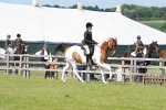 SBM_17571