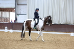 SBM_003293