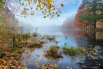 Piscassic Ice Pond