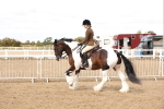 SBM_04268