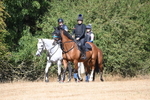 WJ6_8329