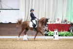 SBM_008418