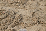 251004A-140336-01426