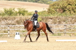 SBM_003597
