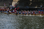THE YORK ROTARY DRAGON BOAT CHALLENGE 2026 - 268 of 426