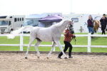 SBM_02437