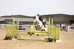 SBM_003252