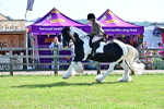 SBM_12148