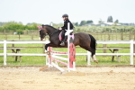 SBM_009432