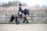 SBM_006344