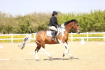 SBM_007901