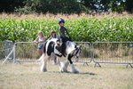 WJ6_8961
