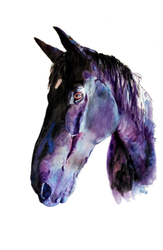 COMMISSIONS portfolio