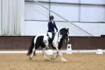 SBM_004428