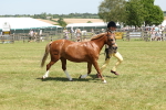 SBM_06773