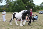 WJ6_5198