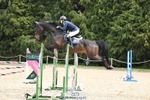 Sunday 14th British Showjumping - Click to View portfolio