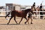 SBM_12854