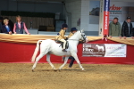 SBM_12748