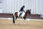 SBM_003295
