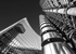 EOS 5D Mark III_2921 bw v4