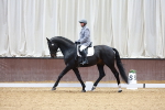 SBM_001034
