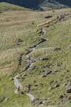Old County Tops-11