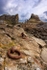 Lindisfarne
