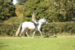 SBM_38944