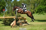 324-DRUMGIVEN_MR_CHARISMA-Jeanette_Brakewell-XC portfolio