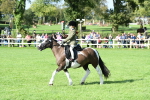 SBM_50381