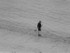 Boy & Pigeon, Thames Beach (b&w)