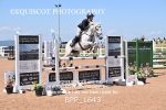 BPP_1643