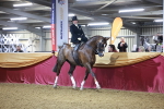 SBM_15019