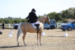 SBM_012541