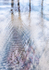 REFLECTIONS IN BACKWASH - LONG POINT BEACH