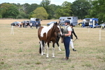 WJ6_5746