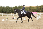 SBM_006907