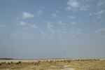 Open Expanse