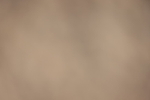 20261010-0759