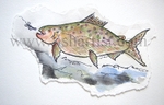 Waitahanui Brown Trout Hen Watercolur.