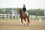 SBM_000604