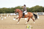 SBM_008619