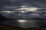 Harris Lightshow