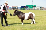 SBM_02021